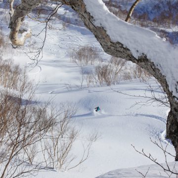 200111(Sat.)　良い雪滑れました